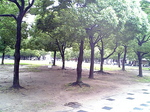 国連01.jpg