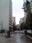 国連02.jpg