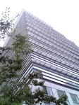 国連03.jpg