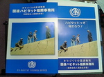 国連08.jpg