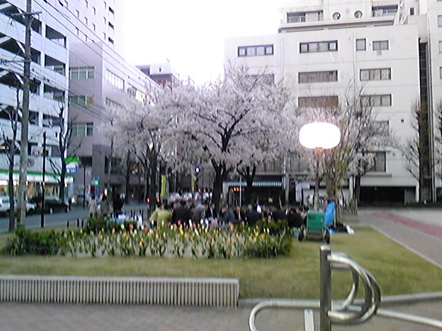 32606.jpg