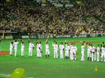 ファーストミット06.jpg