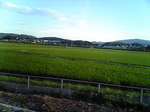 鈍行03.jpg