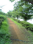 肽OR.jpg