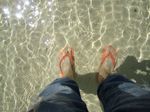 From the Bottom02.jpg