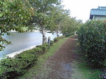 LONG01.jpg