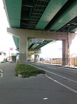 LONG08春03.jpg