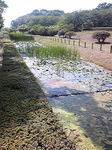 LONG08春04.jpg