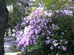 LONG08春10.jpg