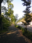 LONG08春17.jpg