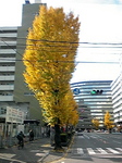 SBSH0112.jpg