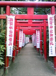 SBSH0136.jpg