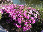 Shine and shadow04.jpg