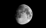 cat's eye moonOP.jpg