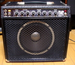ga1000.jpg