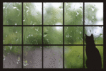 o0450030011938788102.gif